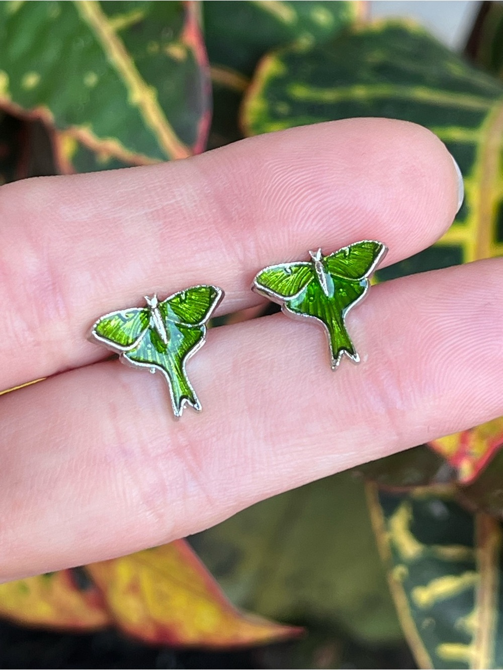 Green Luna Moth Stud Earrings - Enamel with Silver Accent, NWT